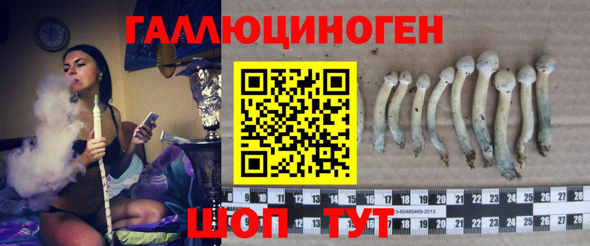 Сальск  Галлюциногенные грибы Magic Shrooms  Вход с VPN 